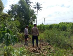 Polisi dan Petani Bersinergi Jaga Ketahanan Pangan di Sekotong
