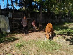 Polisi Dorong Pemanfaatan Lahan Tidur di Lombok Barat