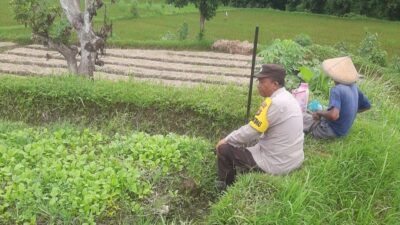 Sinergi Polri dan Petani di Kediri Lombok Barat Kuatkan Ketahanan Pangan