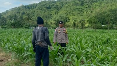 DDS di Lombok Barat: Polisi Ajak Warga Optimalkan Pekarangan