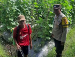 Peran Polri di Montong Are dalam Ketahanan Pangan Nasional