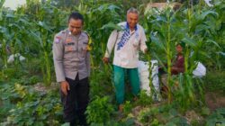 Petani Kuripan Utara Terapkan Inovasi Pertanian Didukung Polri