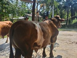 Ketua Bhayangkari Daerah Bengkulu Salurkan Bantuan Kemanusiaan bagi Korban Gempa