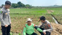 Bripda Iqbal dan Kisah Pengabdian di Ladang