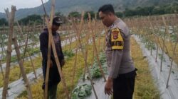 Bhabinkamtibmas Desa Senayan Dampingi Pengelolaan Pekarangan Pangan Bergizi untuk Dukung Ketahanan Pangan
