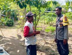 Aparat dan Warga Bersinergi Wujudkan Ketahanan Pangan di Desa Rumak, Kediri