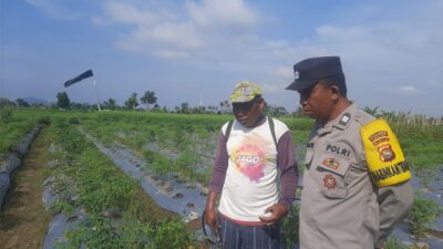 Bhabinkamtibmas Montong Are Dorong Swasembada Pangan di Kediri Lombok Barat