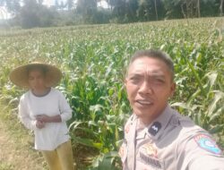 Kolaborasi Polisi dan Warga Kuripan Wujudkan Kemandirian Pangan