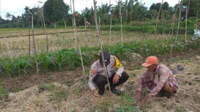 Ketahanan Pangan Dimulai dari Desa Bhabinkamtibmas Jagaraga Dorong Pemanfaatan Lahan Pekarangan