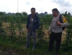 Wujud Sinergi Polri dan Petani: Ketahanan Pangan Dimulai dari Kuripan, Lombok Barat