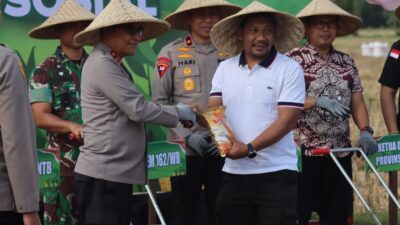 Ketahanan Pangan NTB, Polda dan Pemda Tanam Jagung Serentak di Lombok Barat