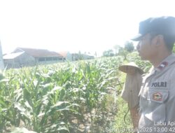 Kolaborasi Polri dan Warga Labuapi Wujudkan Pekarangan Produktif