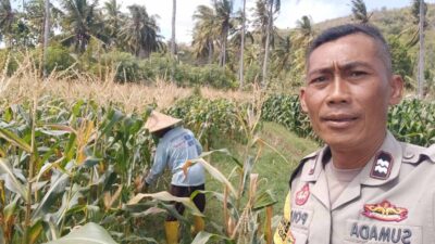 Bhabinkamtibmas Desa Batu Putih Dorong Pemanfaatan Lahan Petani di Dusun Tibu Baru