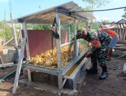 Kisah Peternakan Bebek Safiudin di Langko Didampingi Babinsa