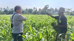 Polsek Batulayar Ajak Masyarakat Perempung Maksimalkan Lahan untuk Ketahanan Pangan