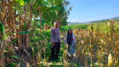 Kemitraan Strategis, Bhabinkamtibmas Lembar Dukung Petani Wujudkan Ketahanan Pangan