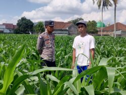 Polres Lombok Barat Dorong Kemandirian Pangan dari Pekarangan Warga Kuripan