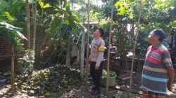 Polsek Kuripan Perkuat Program Ketahanan Pangan Lewat Pemanfaatan Pekarangan Desa Jagaraga