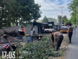 Polres Sumbawa Turun Tangan Atasi Pohon Tumbang di Brang Biji