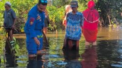 Ditpolairud Polda NTB Hijaukan Pesisir, Tanam 200 Pohon Mangrove di Pantai Kokoq Pedeq