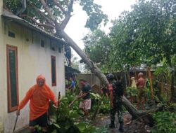 Aksi Tanggap Babinsa Jagaraga Saat Bencana Alam Melanda