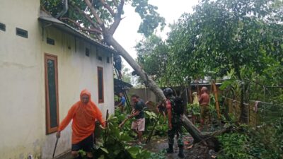 Aksi Tanggap Babinsa Jagaraga Saat Bencana Alam Melanda