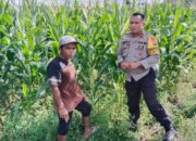 Petani Dusun Jogot Tersenyum, Polsek Labuapi Berikan Pendampingan Intensif untuk Amankan Stok Pangan Desa