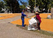 “Polmas”. Satpolairud Polres Bima Kabupaten Bantu Jemur Jagung Warga