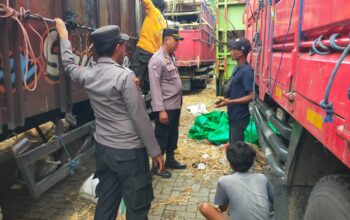 Pengiriman Sapi di Pelabuhan Lembar Terpantau Kondusif