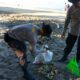 Sinergi Tanpa Batas: Saat Aparat dan Pemda Bahu-Membahu Pastikan Pantai Locco Bebas Sampah
