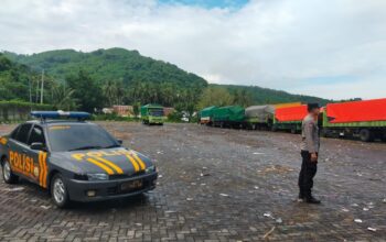 Distribusi Ternak Sapi di Pelabuhan Lembar Berjalan Lancar