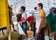 Sinergi Bhabinkamtibmas dan Petani Mareje Timur: Dorong Distribusi Hasil Panen Jagung Berkualitas ke Bulog
