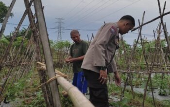 Bhabinkamtibmas Kuranji Dalang Perkuat Ketahanan Pangan