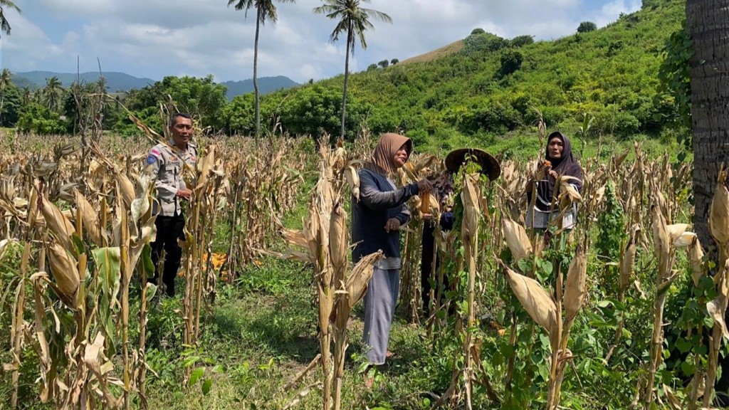 Cara Polsek Sekotong Dukung Ketahanan Pangan Nasional