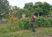 Sinergi TNI-Polri Kawal Ketahanan Pangan di Lombok Barat
