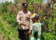 Polsek Labuapi Dorong Petani Manfaatkan Lahan Kosong