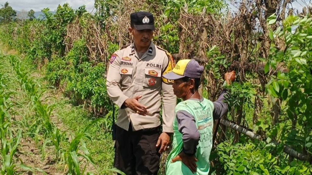 Cara Polsek Labuapi Perkuat Ketahanan Pangan Desa