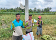Bhabinkamtibmas Desa Bagik Papan Cek Panen Jagung dan Sampaikan Himbauan Kamtibmas kepada Warga