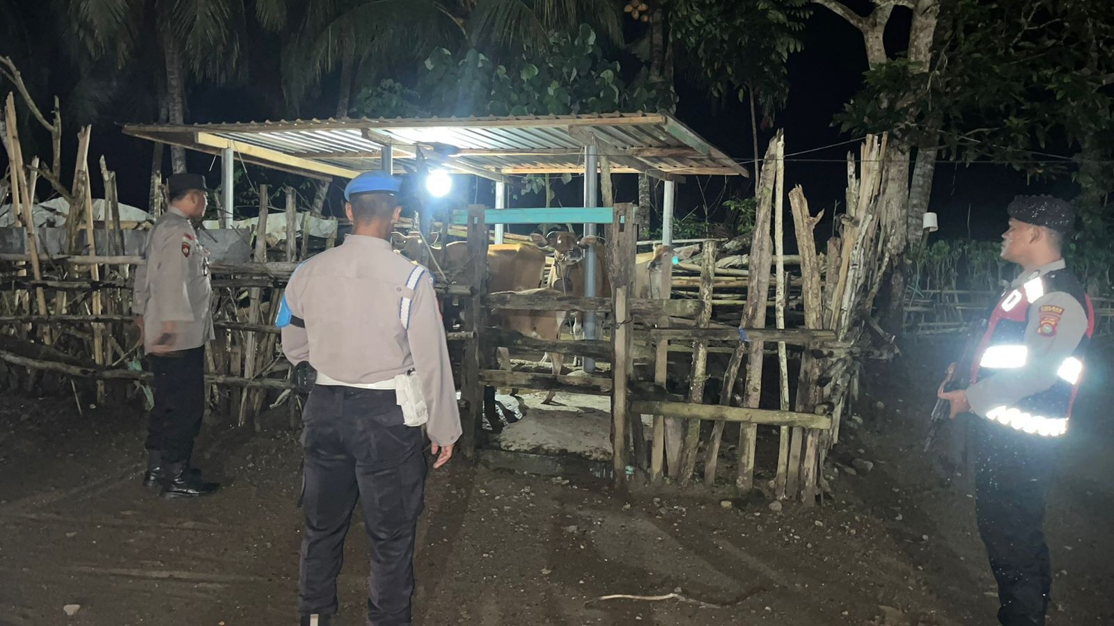 Polsek Sekotong Patroli Malam Cegah Pencurian Sapi