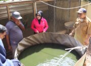 Bhayangkari Lombok Utara Terima Ribuan Benih Ikan dari DKP NTB untuk Dukung P2B