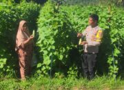 Bhabinkamtibmas Desa Manemeng Dampingi Pengelolaan Pekarangan Pangan Bergizi, Dorong Ketahanan Pangan Masyarakat