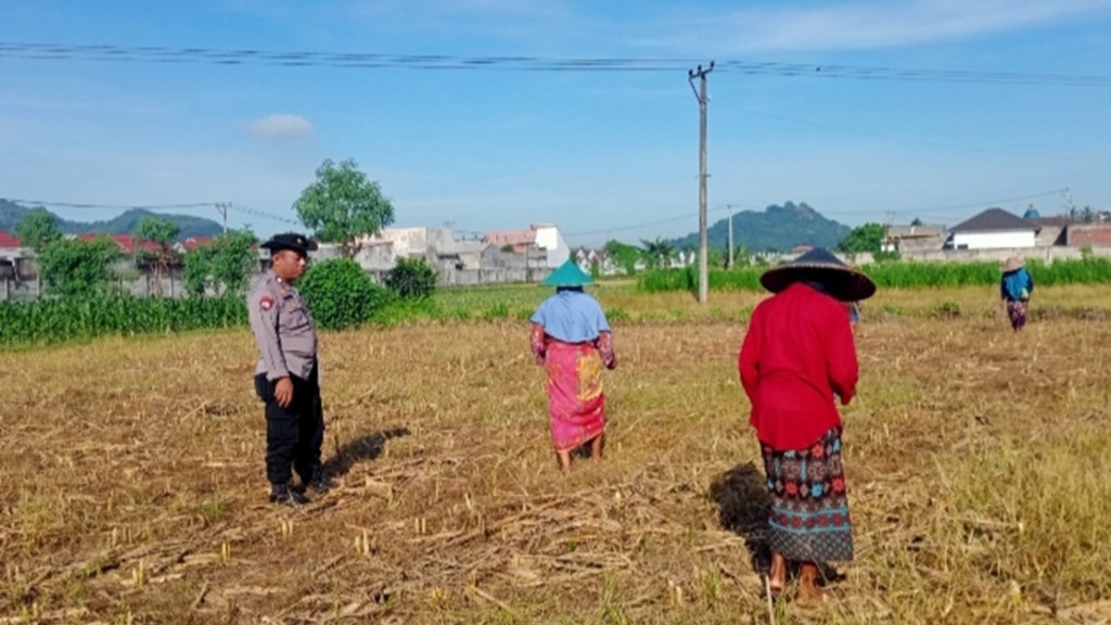 Cara Polsek Labuapi Motivasi Petani Sawah di Karang Bongkot