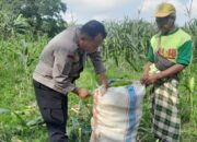 Polsek Labuapi Dorong Ketahanan Pangan di Bagik Polak Barat
