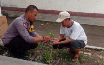 Dukung Swasembada Pangan, Polsek Labuapi Dampingi Petani Cabai