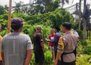 Pemanfaatan Lahan Kosong di Meninting Dongkrak Pangan Keluarga