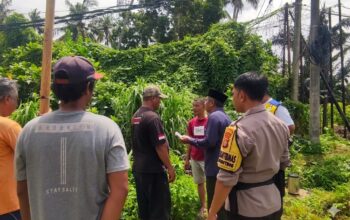 Pemanfaatan Lahan Kosong di Meninting Dongkrak Pangan Keluarga