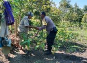 Bhabinkamtibmas Lombok Barat Dampingi Petani Hortikultura Sukseskan Ketahanan Pangan