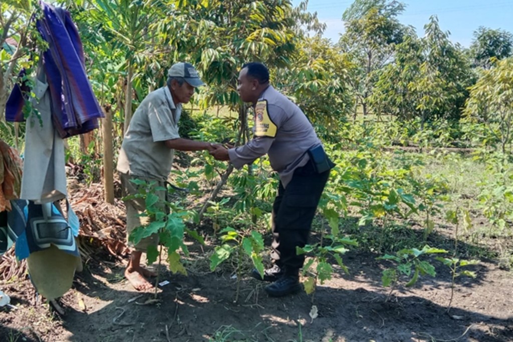 Sinergi Polisi dan Petani Lombok Barat Optimalkan Lahan Hortikultura Desa