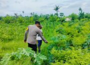 Polsek Labuapi Kawal Ketahanan Pangan di Lombok Barat