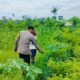 Sinergi Polsek Labuapi dan Petani Jaga Ketahanan Pangan